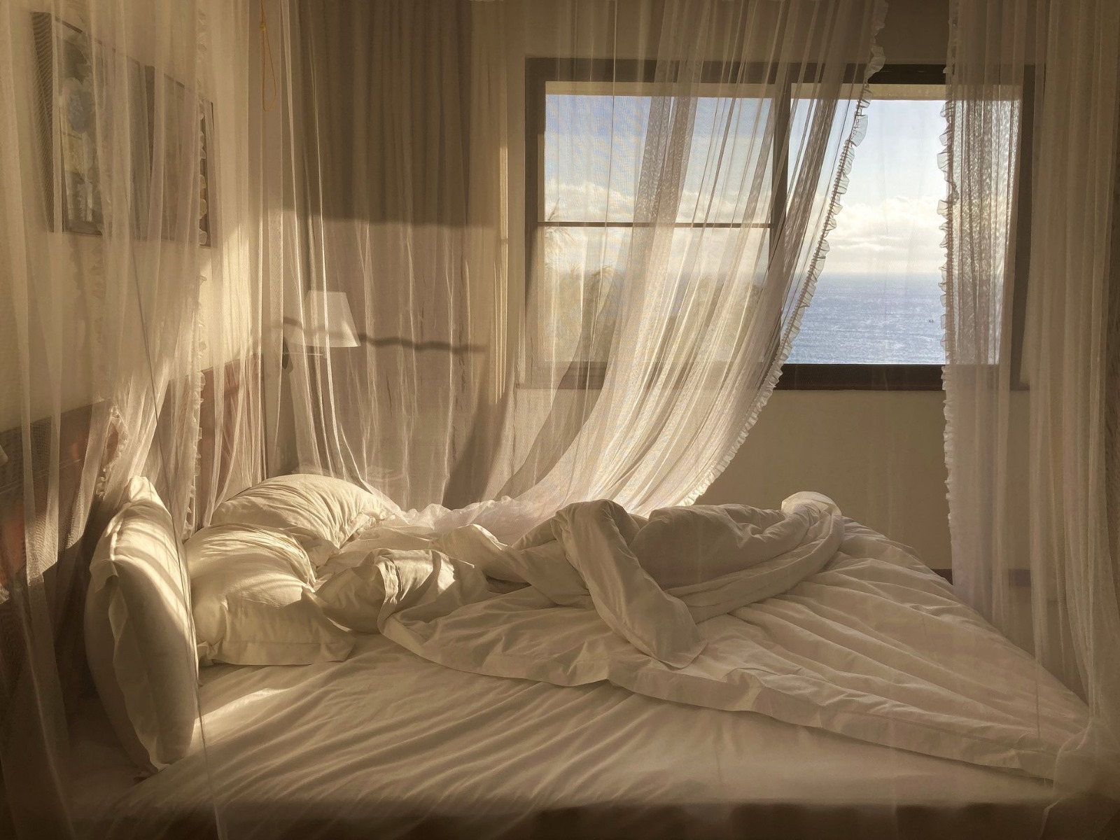 Nouveau : La chambre calme, ma chaîne audio et vidéo